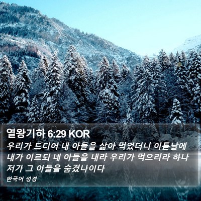 열왕기하 6:29 KOR Bible Verse Image