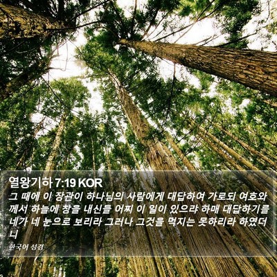 열왕기하 7:19 KOR Bible Verse Image