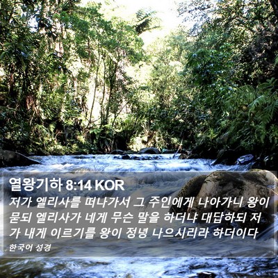 열왕기하 8:14 KOR Bible Verse Image
