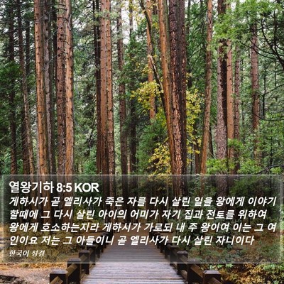 열왕기하 8:5 KOR Bible Verse Image
