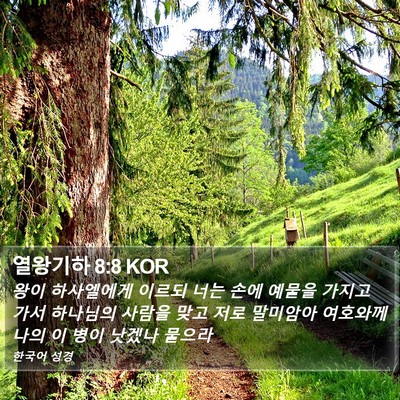 열왕기하 8:8 KOR Bible Verse Image