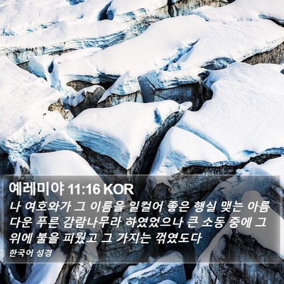 예레미야 11:16 KOR Bible Verse Image