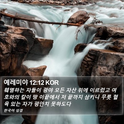 예레미야 12:12 KOR Bible Verse Image