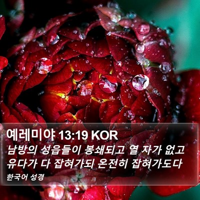예레미야 13:19 KOR Bible Verse Image