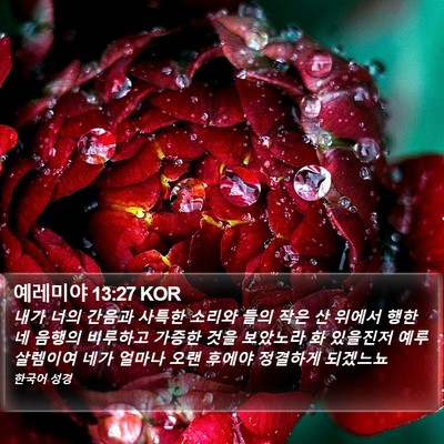 예레미야 13:27 KOR Bible Verse Image