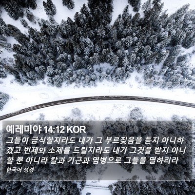 예레미야 14:12 KOR Bible Verse Image