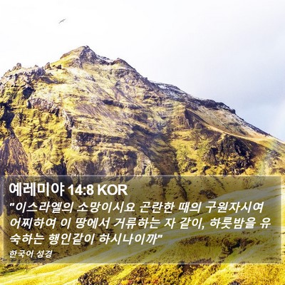 예레미야 14:8 KOR Bible Verse Image