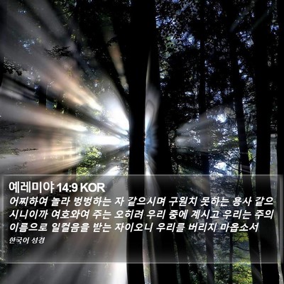 예레미야 14:9 KOR Bible Verse Image