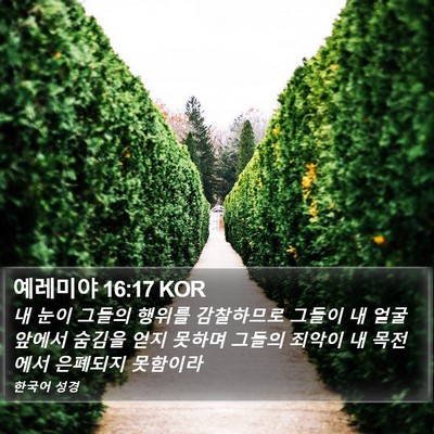 예레미야 16:17 KOR Bible Verse Image