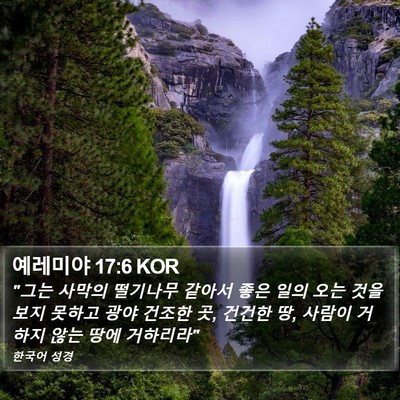 예레미야 17:6 KOR Bible Verse Image