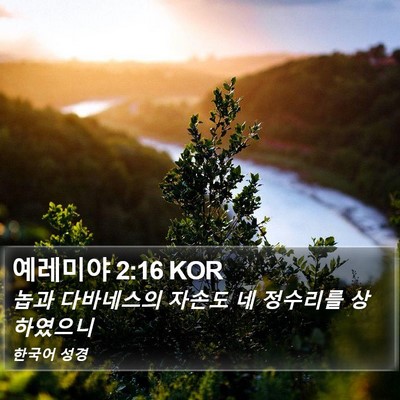예레미야 2:16 KOR Bible Verse Image
