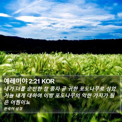 예레미야 2:21 KOR Bible Verse Image