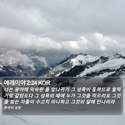 예레미야 2:24 KOR Bible Verse Image