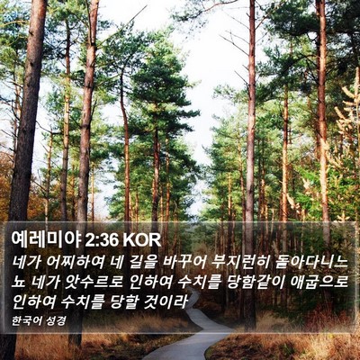 예레미야 2:36 KOR Bible Verse Image