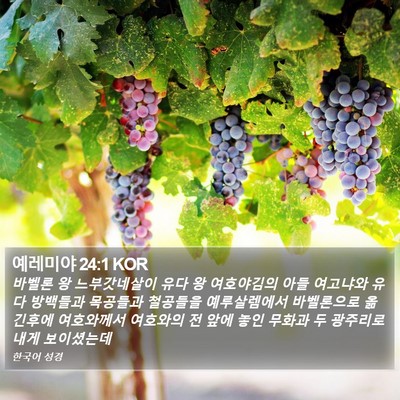 예레미야 24:1 KOR Bible Verse Image
