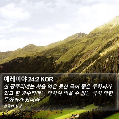 예레미야 24:2 KOR Bible Verse Image