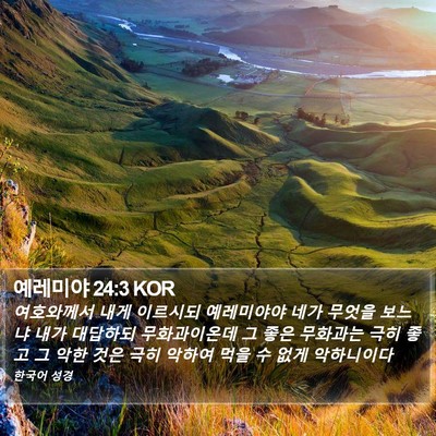 예레미야 24:3 KOR Bible Verse Image
