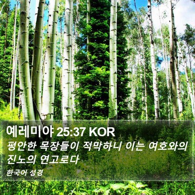 예레미야 25:37 KOR Bible Verse Image
