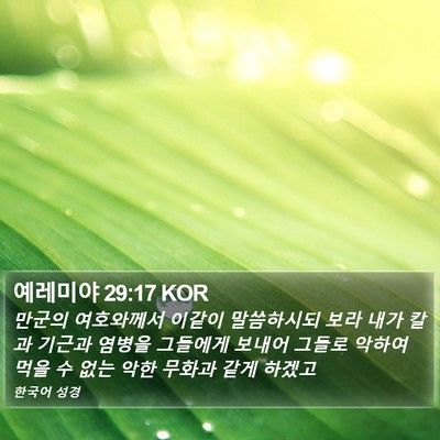 예레미야 29:17 KOR Bible Verse Image
