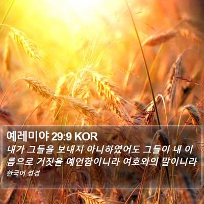 예레미야 29:9 KOR Bible Verse Image