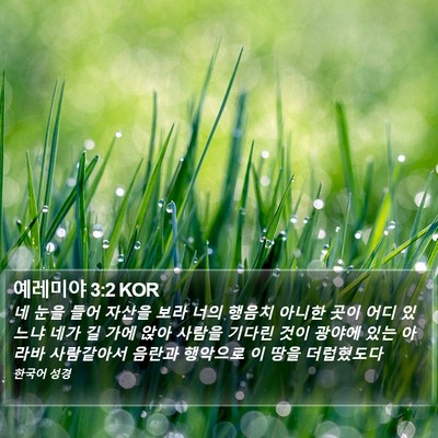예레미야 3:2 KOR Bible Verse Image