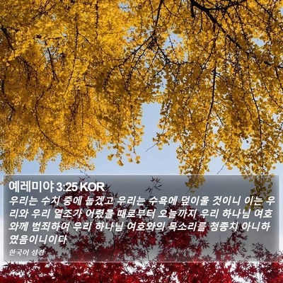 예레미야 3:25 KOR Bible Verse Image