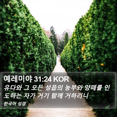 예레미야 31:24 KOR Bible Verse Image
