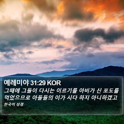 예레미야 31:29 KOR Bible Verse Image