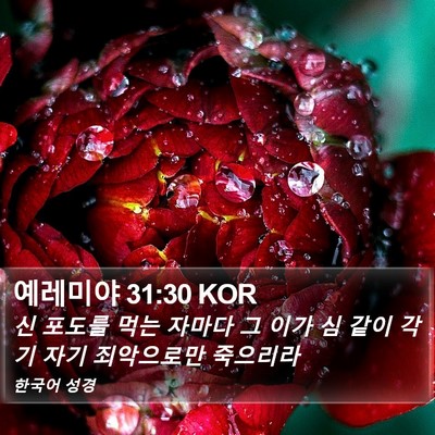 예레미야 31:30 KOR Bible Verse Image