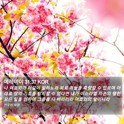 예레미야 31:37 KOR Bible Verse Image