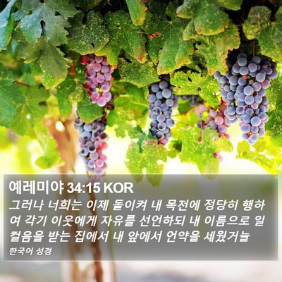 예레미야 34:15 KOR Bible Verse Image