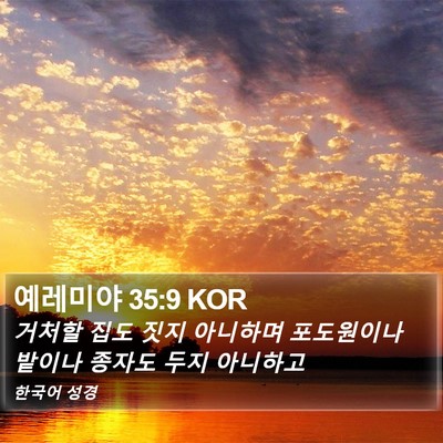 예레미야 35:9 KOR Bible Verse Image
