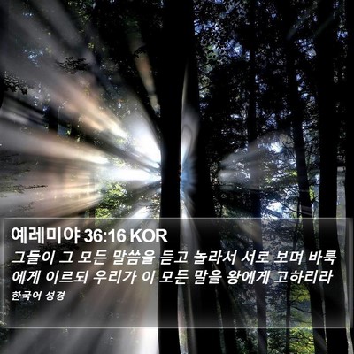 예레미야 36:16 KOR Bible Verse Image