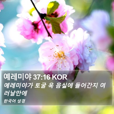 예레미야 37:16 KOR Bible Verse Image