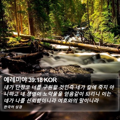 예레미야 39:18 KOR Bible Verse Image