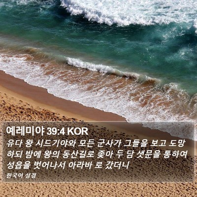 예레미야 39:4 KOR Bible Verse Image