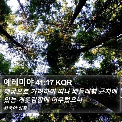 예레미야 41:17 KOR Bible Verse Image