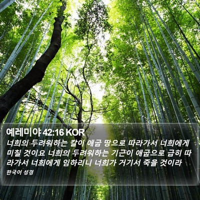 예레미야 42:16 KOR Bible Verse Image