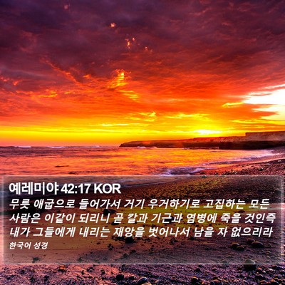 예레미야 42:17 KOR Bible Verse Image