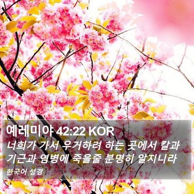 예레미야 42:22 KOR Bible Verse Image