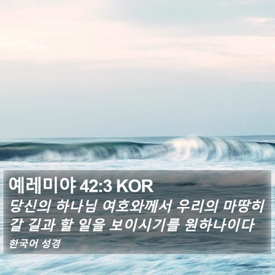 예레미야 42:3 KOR Bible Verse Image