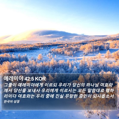 예레미야 42:5 KOR Bible Verse Image