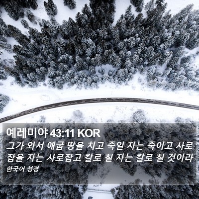 예레미야 43:11 KOR Bible Verse Image
