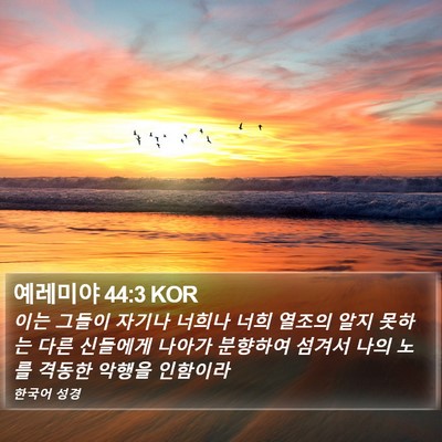 예레미야 44:3 KOR Bible Verse Image