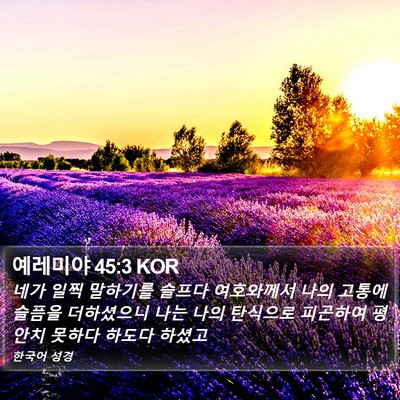 예레미야 45:3 KOR Bible Verse Image