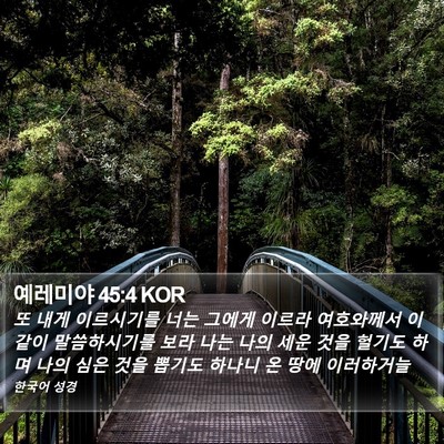 예레미야 45:4 KOR Bible Verse Image