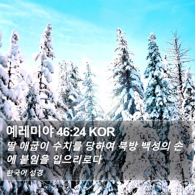 예레미야 46:24 KOR Bible Verse Image