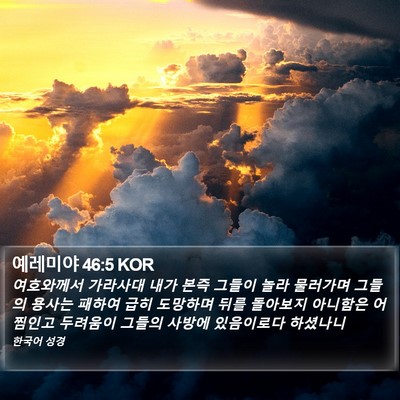 예레미야 46:5 KOR Bible Verse Image