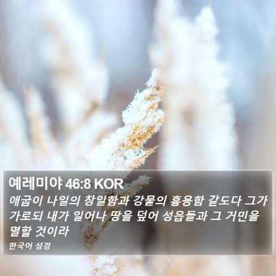 예레미야 46:8 KOR Bible Verse Image