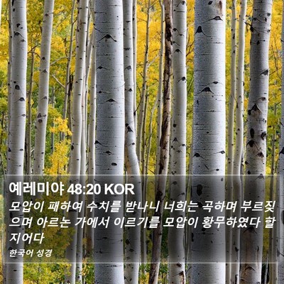 예레미야 48:20 KOR Bible Verse Image